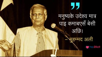 Muhammad yunus quotes
